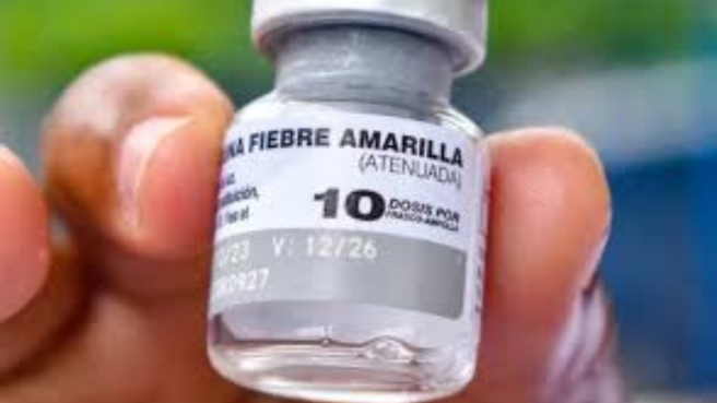 El despliegue, articulado con la red prestadora de servicios de salud, prioriza municipios con mayor flujo de viajeros y condiciones epidemiológicas sensibles como Ibagué, Flandes, Mariquita, Honda, Melgar, Espinal y Carmen de Apicalá.