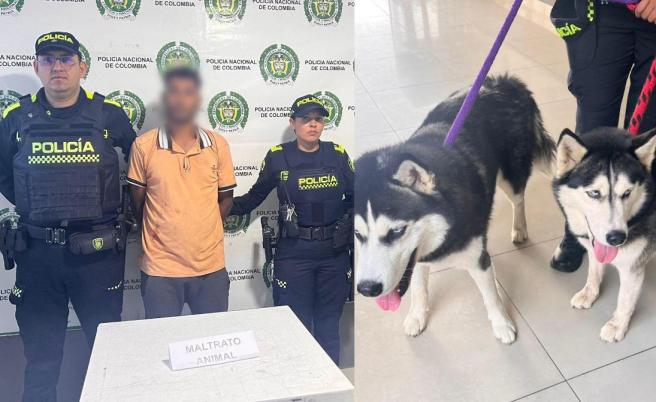 Maltrato animal