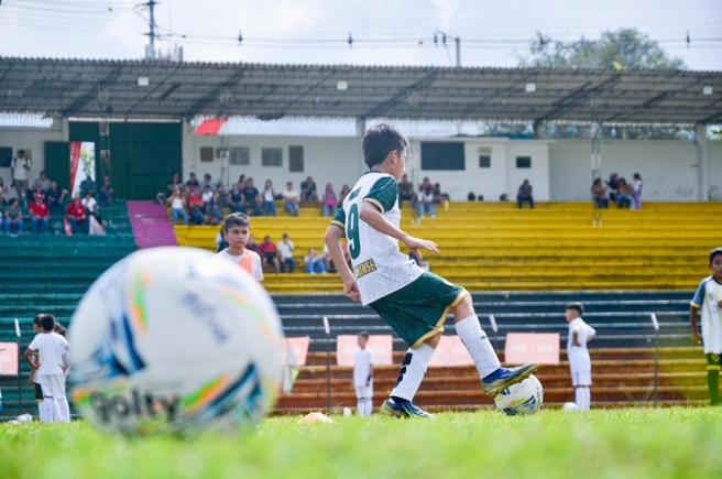 Fútbol 