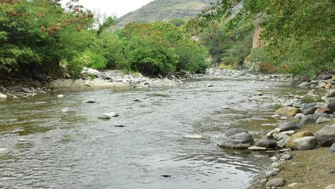 Río Coello 2024