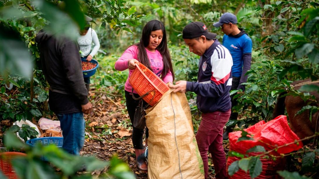 Proyecto agroecológico