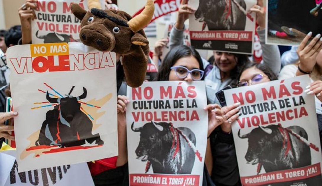 No más corridas de toros 2024 mayo 29