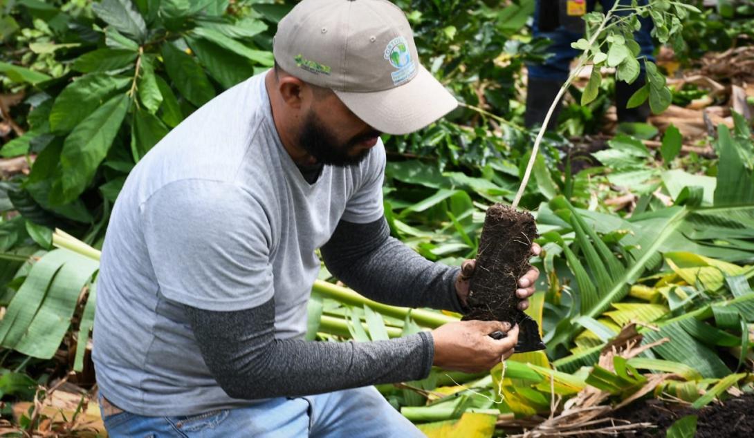 Cortolima restauración 2024 mayo 30