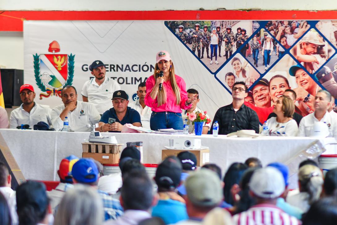 Gobernadora del Tolima