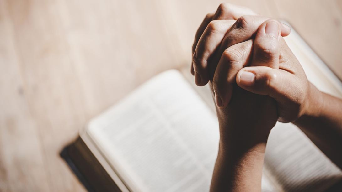 Corte constitucional 