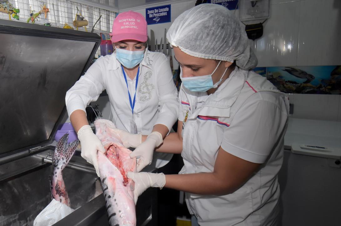 Jornada de salubridad en la Plaza El Jardín de Ibagué