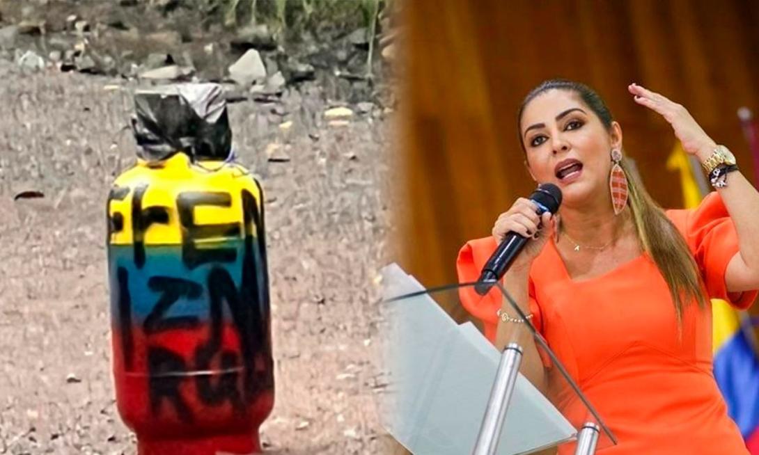 Gobernadora del Tolima expresó su profunda preocupación y rechazo ante los actos violentos registrados en las últimas 48 horas en el sur del departamento, donde grupos armados ilegales han sembrado el terror.