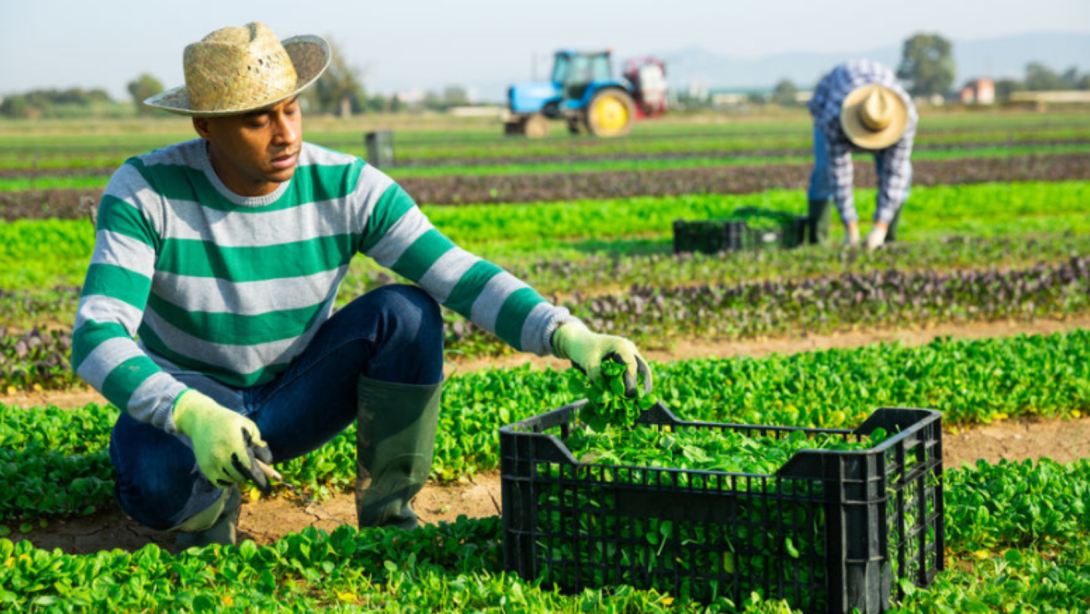 Esta estrategia representa un paso decisivo en la consolidación de un mercado laboral sostenible, competitivo e inclusivo en Colombia.