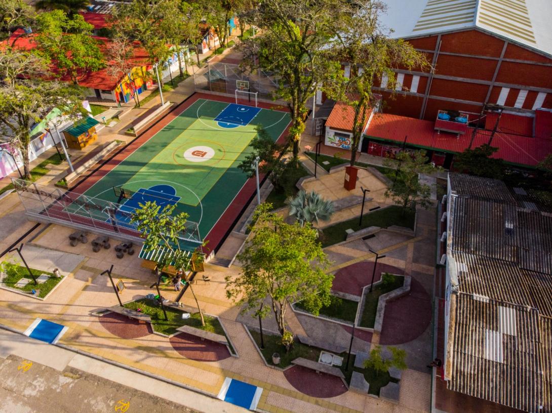 Universidad del Tolima