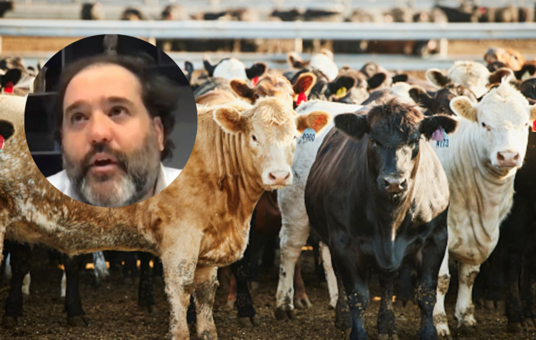 Felipe Rocha Piramide