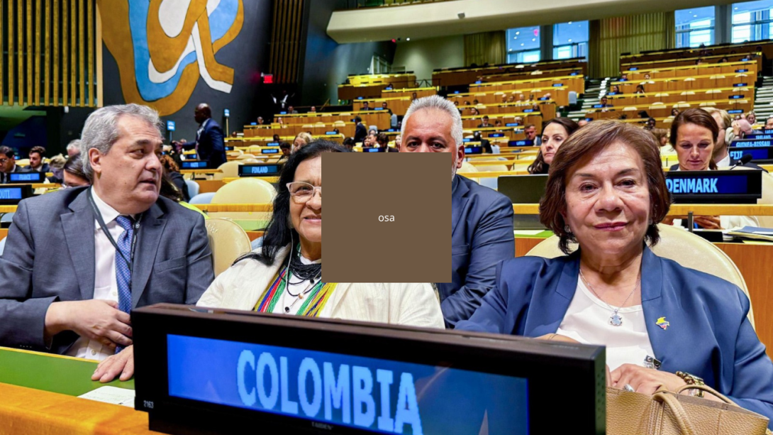 La canciller Rosa Villavicebncio en Naciones Unidas se reunió en busca de cooperación bilateral.