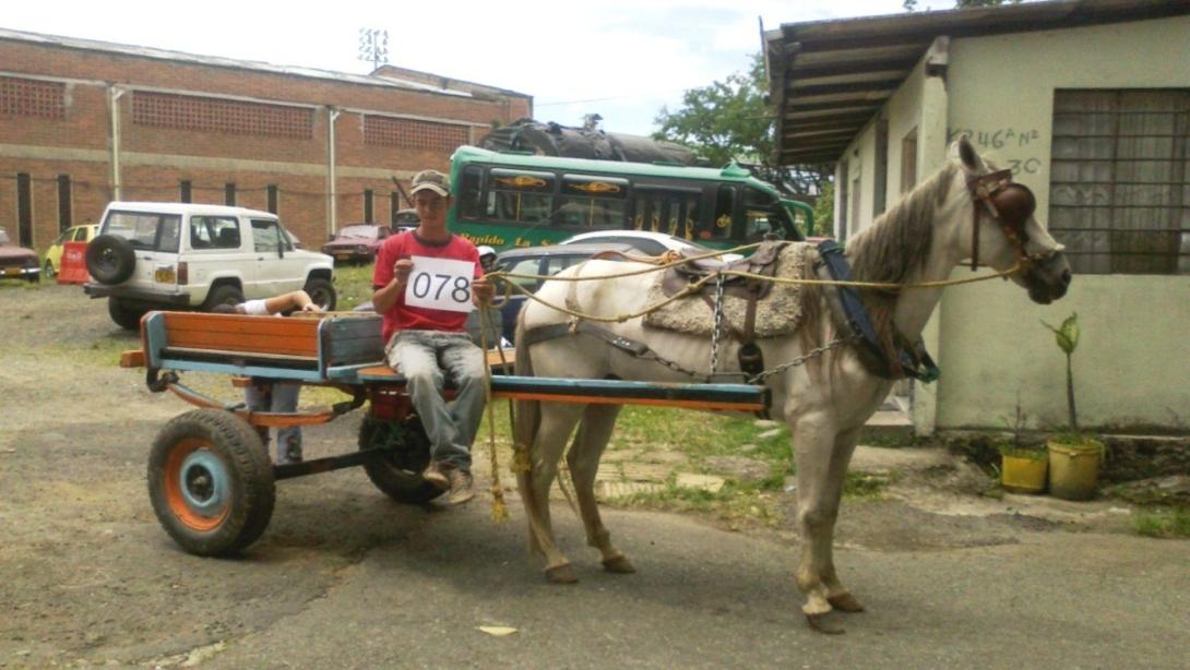 El ente de control requirió a los ministerios de Agricultura, Ambiente, Salud, Transporte, Interior y Justicia un informe detallado sobre las acciones adoptadas en temas como bienestar animal en el sector agropecuario.