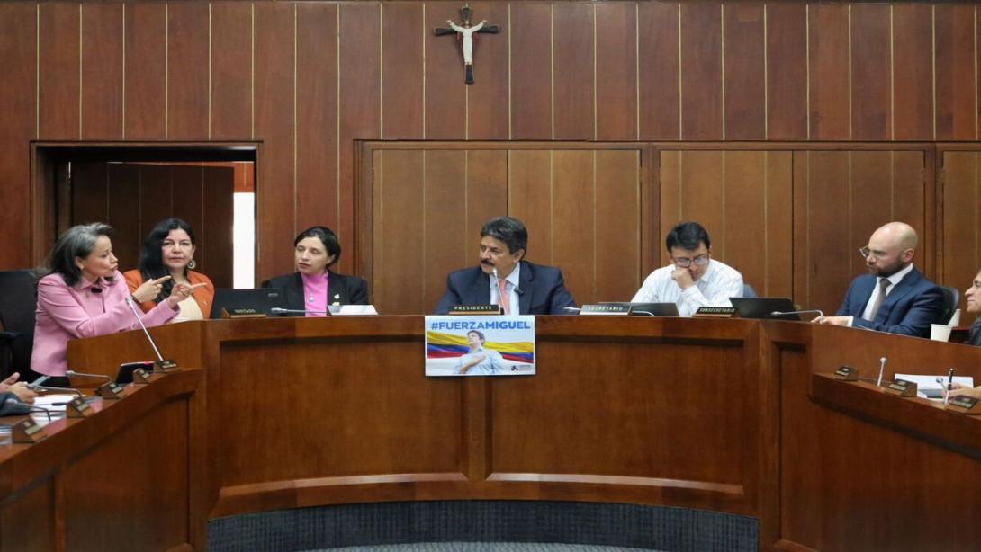 La comisión accidental del senado de seguimiento a los acuerdos del al paro arrocero pidió acuerdos estructurales para la solución a los agricultores del grano en Colombia.