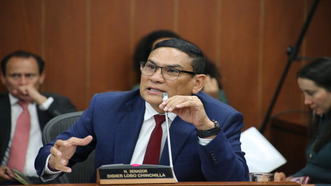 Didier Lobo, senador, Comisíón Quinta.