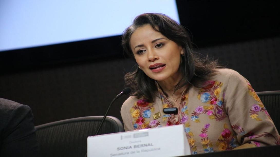 Sonia Bernal, senadora