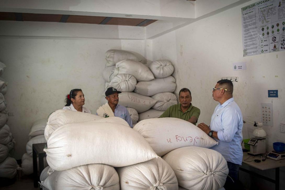 Casa Verde Café dio a conocer que además cuenta con certificaciones internacionales.