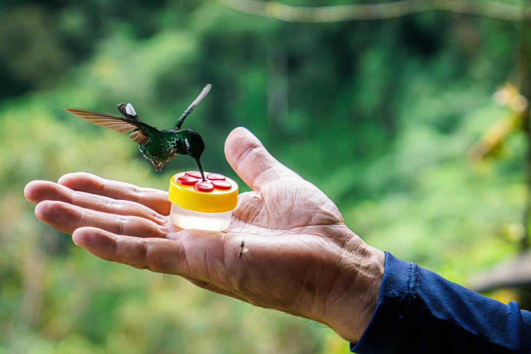 En el gobierno del cambio se actualizaron las metodologías de planificación turística, 10 Parques Nacionales Naturales hicieron lo mismo con sus planes de ordenamiento ecoturístico y se trabaja en nuevas metodologías de capacidad de carga que hoy ya se han implementado en 12 atractivos y áreas turísticas del país..