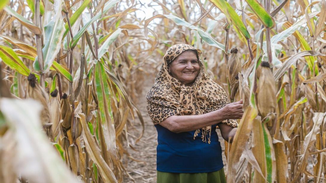 MinAgricultura convocó a mujeres rurales presentar proyectos de desarrollo para su cofinanciación