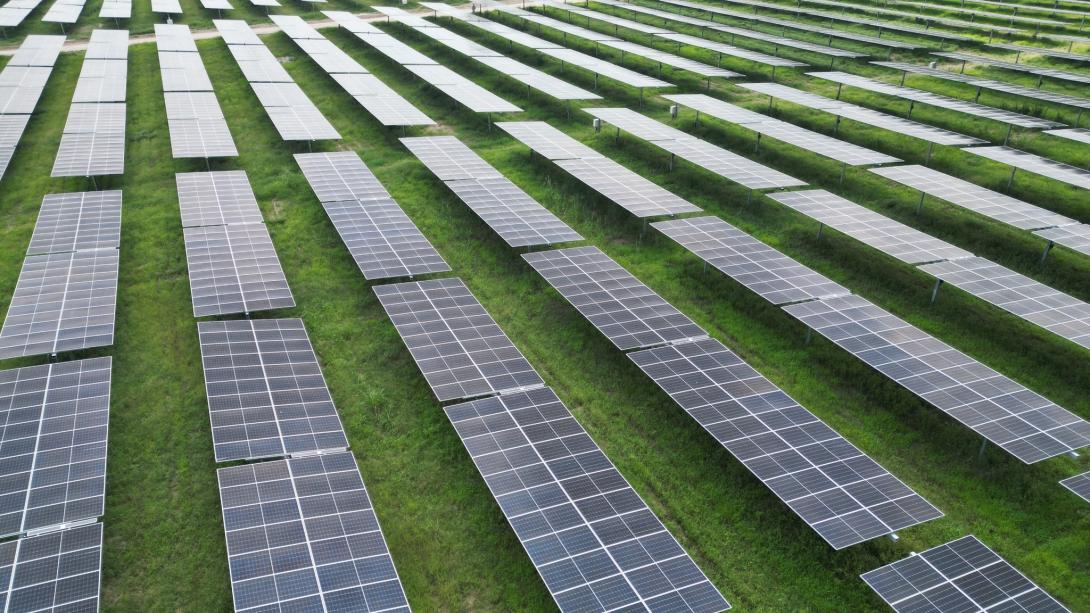 Paneles de energía solar en el Tolima