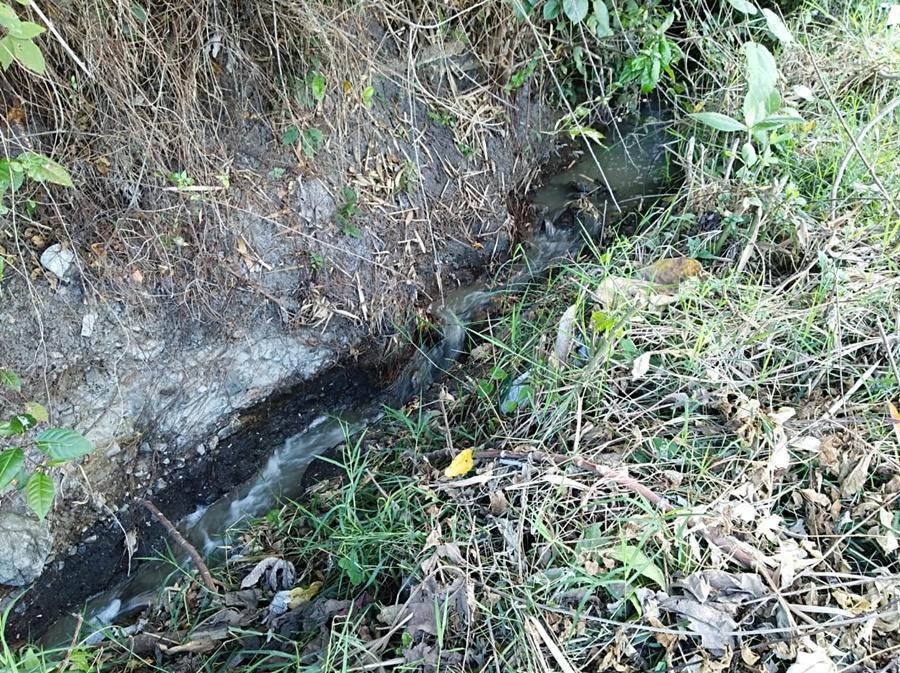 Concejo de Ibagué institucionaliza el Día Municipal de la Conservación del Río Opia