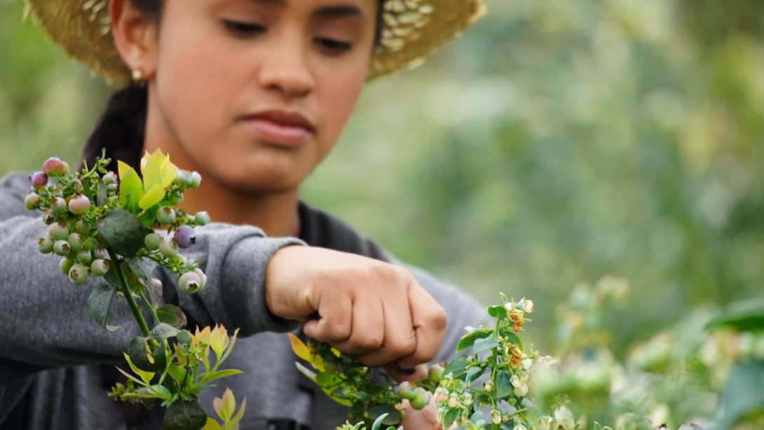 Este instrumento constituye una herramienta fundamental para mejorar las condiciones de acceso al crédito en los territorios y ampliar las oportunidades de inclusión financiera para la población rural.