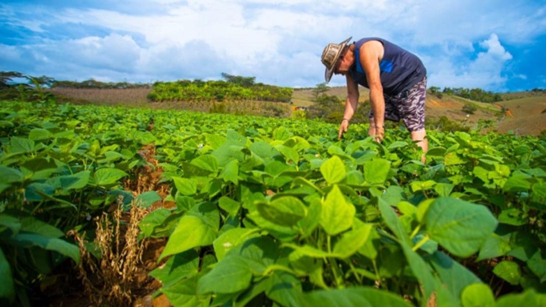 La inversión total de este convenio es de $1.143 millones de pesos, de los cuales la Gobernación aportará $800 millones y Fenalce $343 millones.