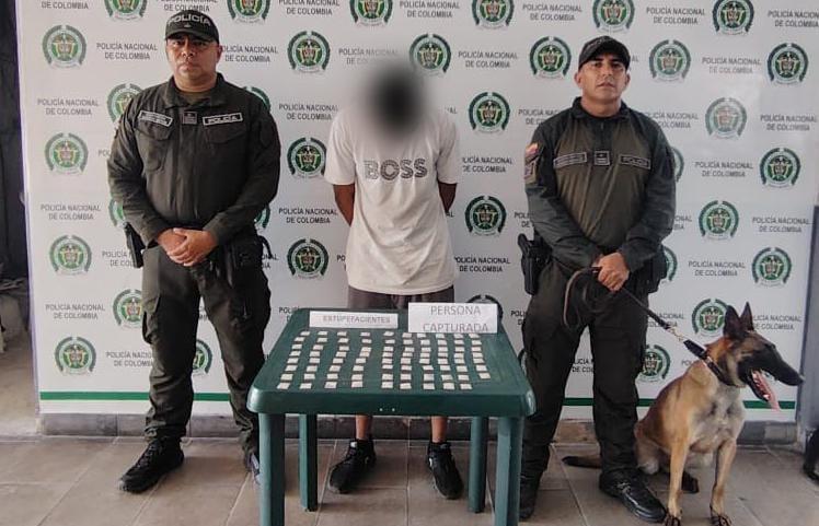 Canino Antinarcóticos 