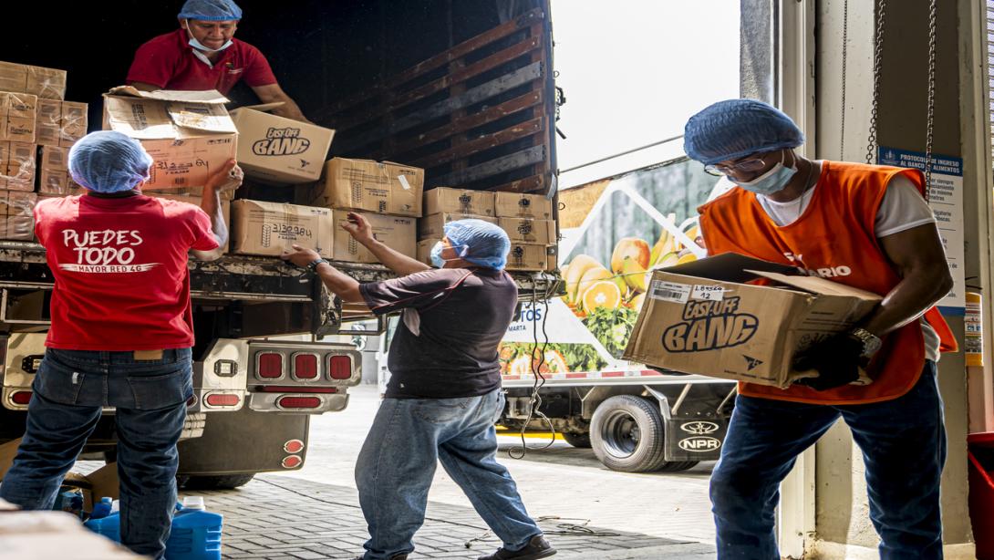 Los alimentos entregados aportaron en promedio el 18,5% de las recomendaciones diarias de energía y nutrientes.