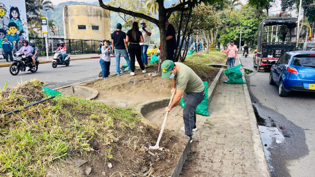 Alcaldía intervino el separador de la calle 19 con jornada de limpieza, poda y pintura