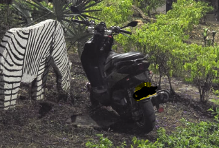 Basuras, escombros y hasta motos sobre las zonas verdes tienen en jaque al barrio Las Margaritas