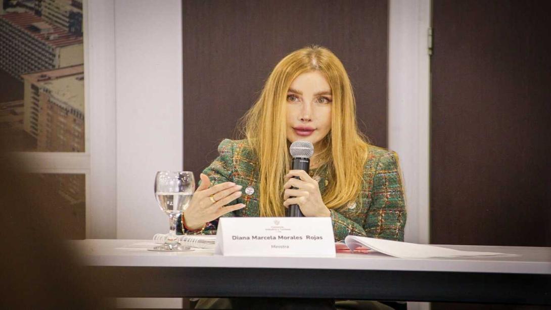 La ministra de Comercio, Industria y Turismo, Diana Marcela Morales Rojas, explicó que proteger la capacidad productiva nacional, establecer las condiciones de competencia equilibradas, promover la producción nacional, la generación de valor agregado y fortalecer los encadenamientos productivos.